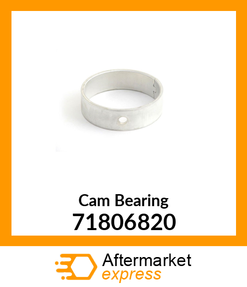 Cam Bearing 71806820