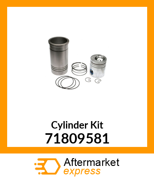 Cylinder Kit 71809581