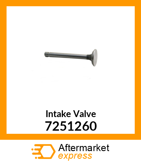 Intake Valve 7251260