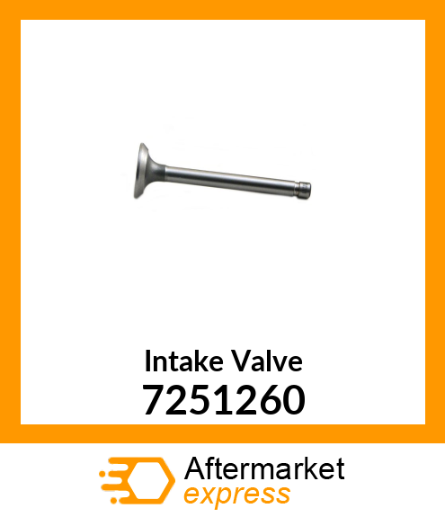 Intake Valve 7251260