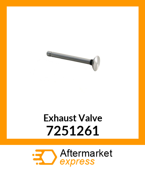 Exhaust Valve 7251261