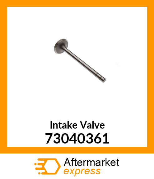 Intake Valve 73040361