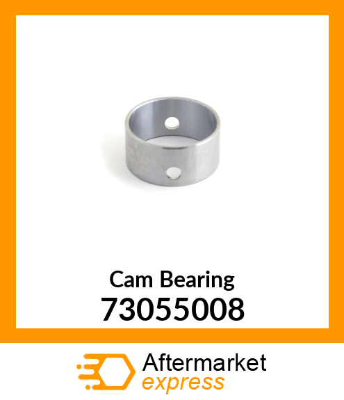 Cam Bearing 73055008