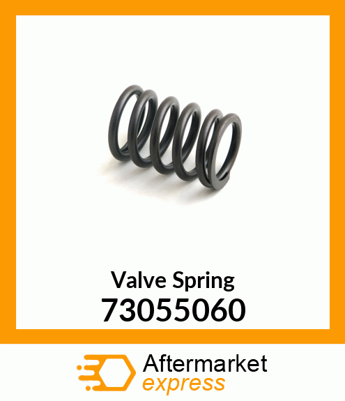 Valve Spring 73055060