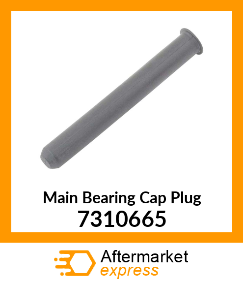 Main Bearing Cap Plug 7310665