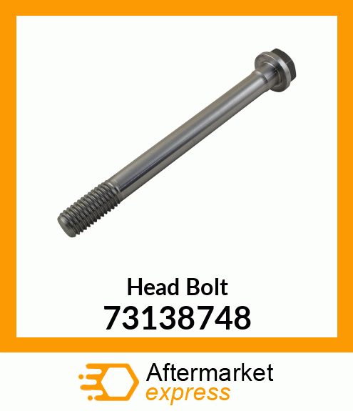 Head Bolt 73138748