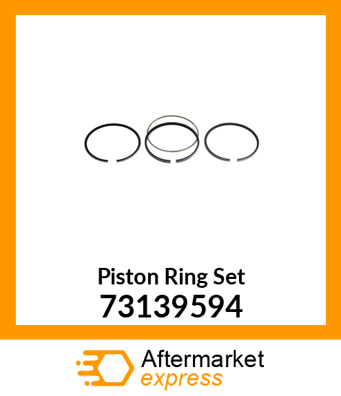 Piston Ring Set 73139594
