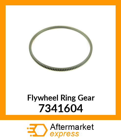 Flywheel Ring Gear 7341604