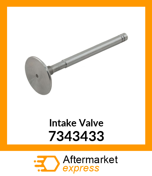 Intake Valve 7343433