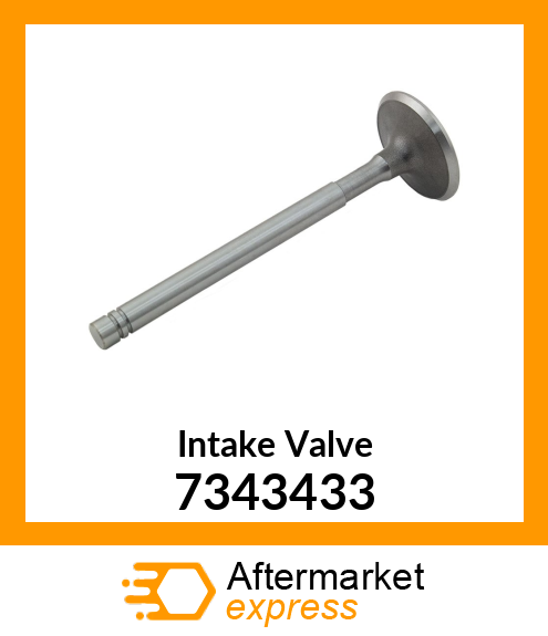 Intake Valve 7343433