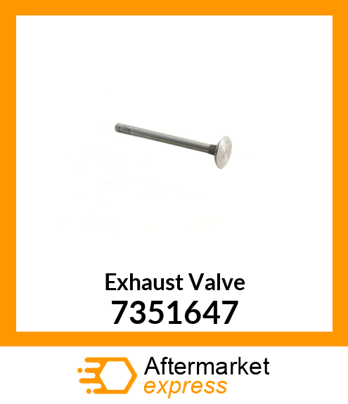 Exhaust Valve 7351647