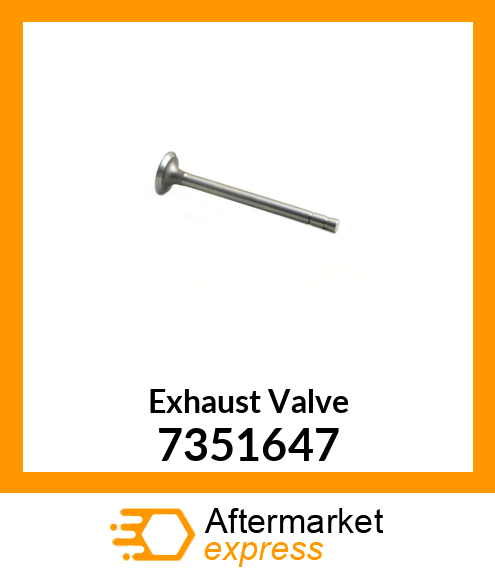 Exhaust Valve 7351647