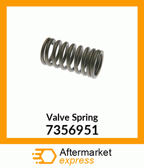 Valve Spring 7356951