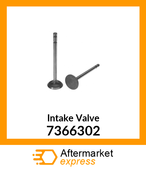 Intake Valve 7366302