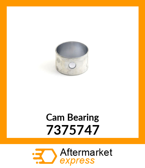 Cam Bearing 7375747