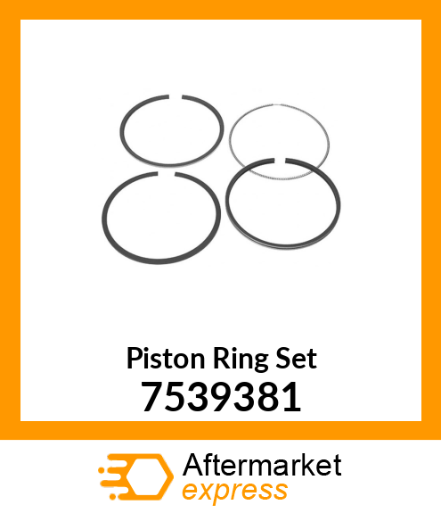 Piston Ring Set 7539381
