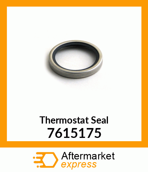 Thermostat Seal 7615175