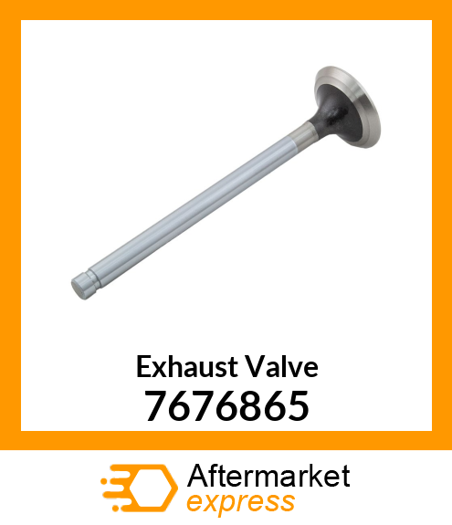 Exhaust Valve 7676865