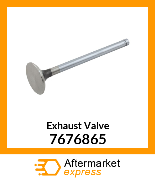 Exhaust Valve 7676865