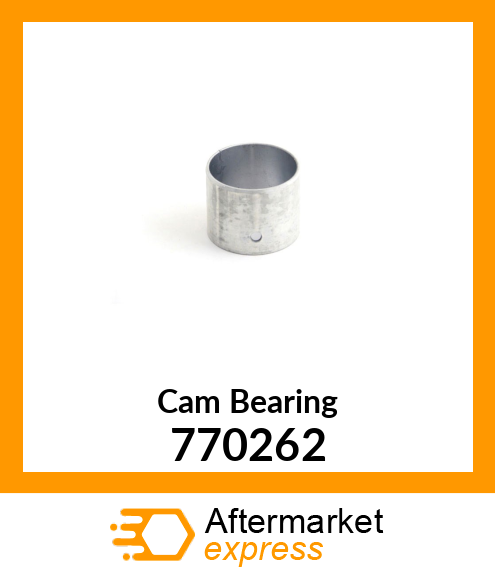 Cam Bearing 770262