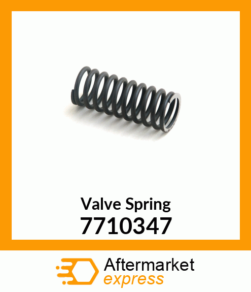 Valve Spring 7710347