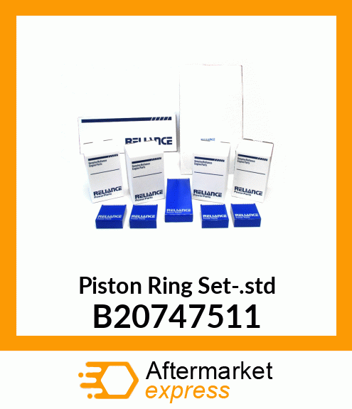 Piston Ring Set-.std B20747511