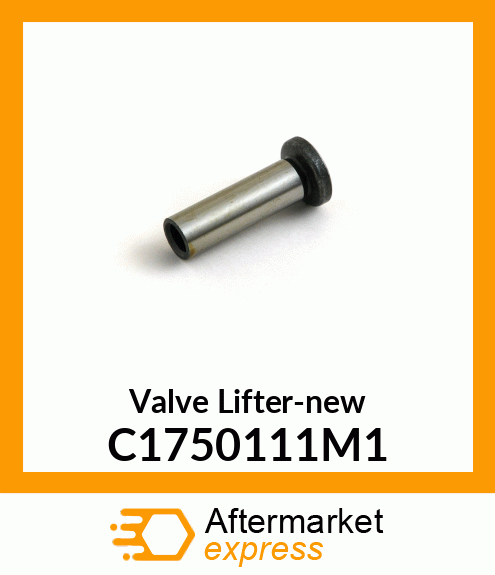 Valve Lifter-new C1750111M1