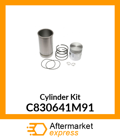 Cylinder Kit C830641M91