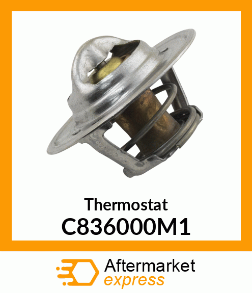 Thermostat C836000M1