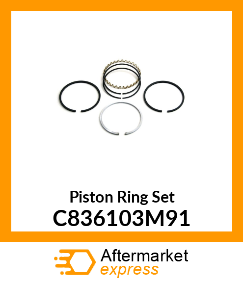 Piston Ring Set C836103M91