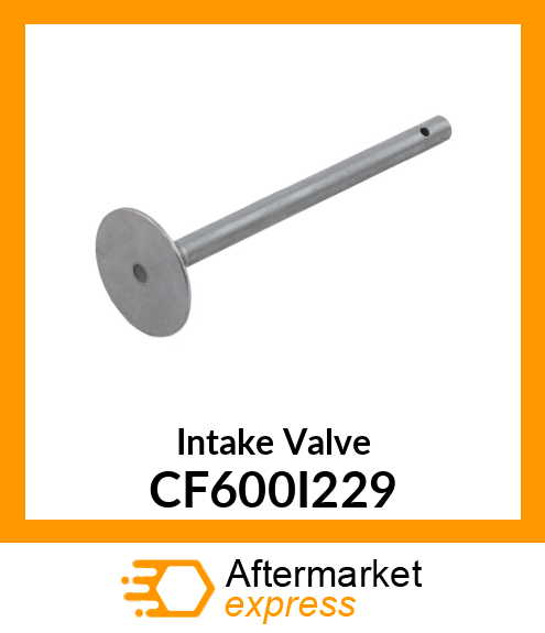 Intake Valve CF600I229