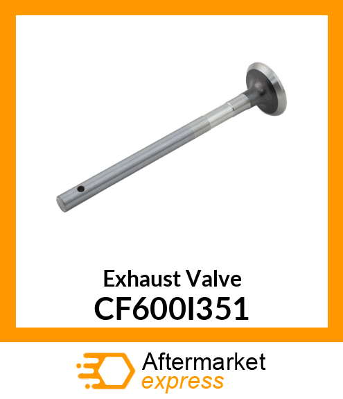 Exhaust Valve CF600I351