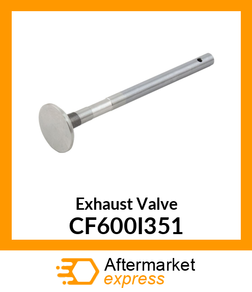 Exhaust Valve CF600I351