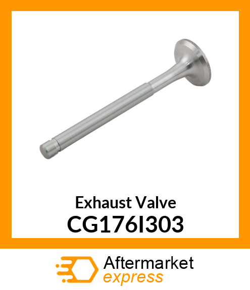 Exhaust Valve CG176I303