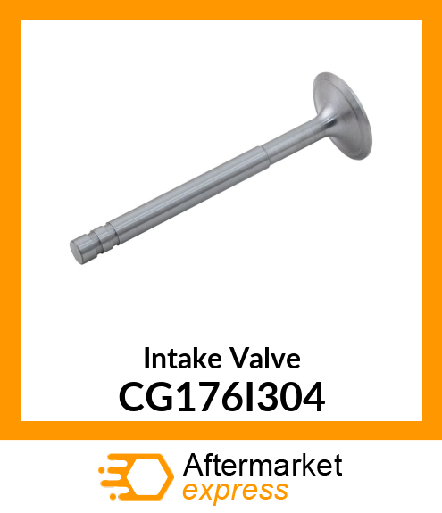 Intake Valve CG176I304