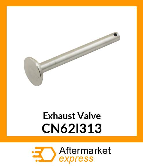 Exhaust Valve CN62I313