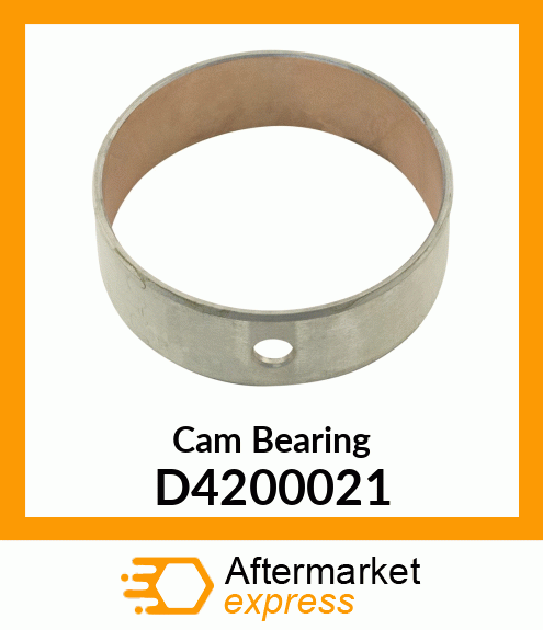 Cam Bearing D4200021