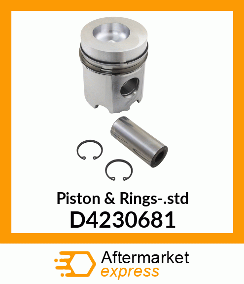 Piston & Rings-.std D4230681