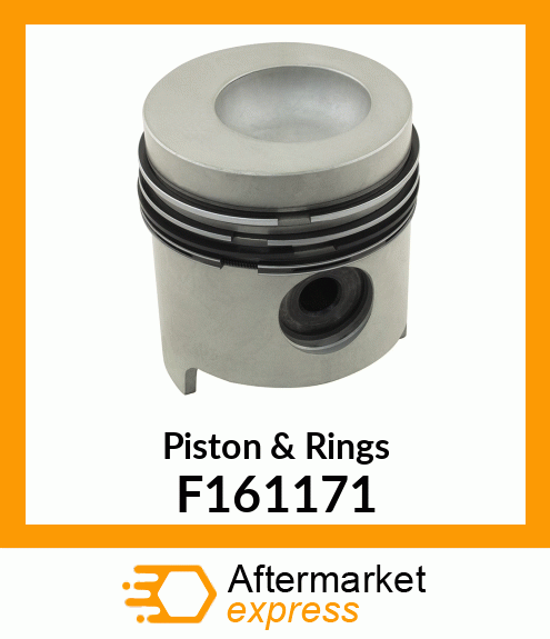 Piston & Rings F161171