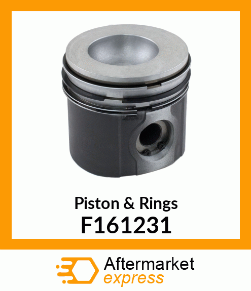 Piston & Rings F161231