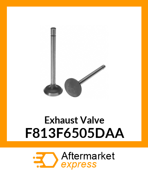 Exhaust Valve F813F6505DAA