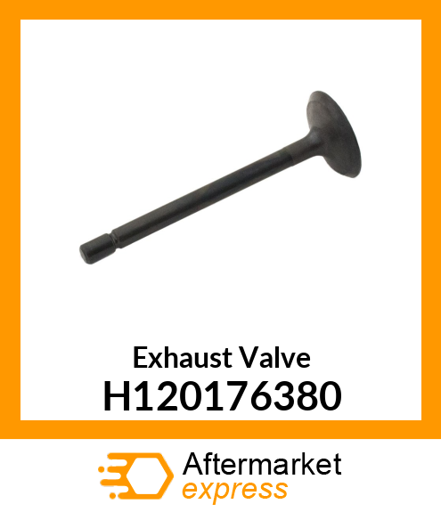 Exhaust Valve H120176380
