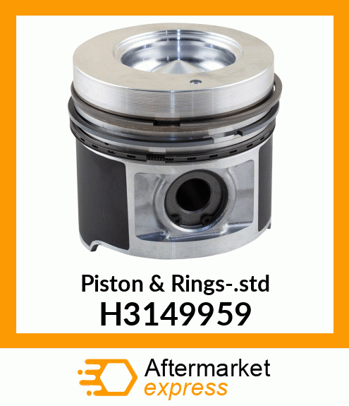 Piston & Rings-.std H3149959