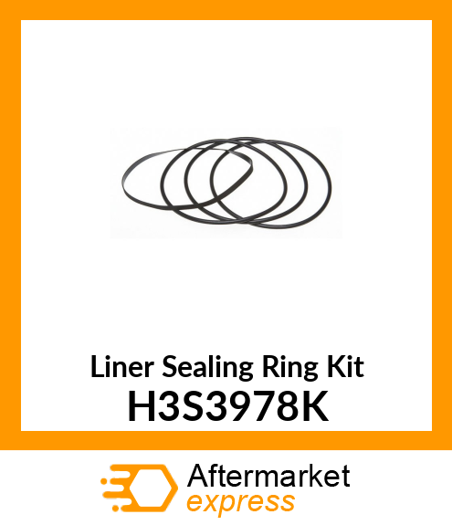 Liner Sealing Ring Kit H3S3978K