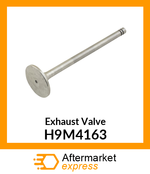 Exhaust Valve H9M4163