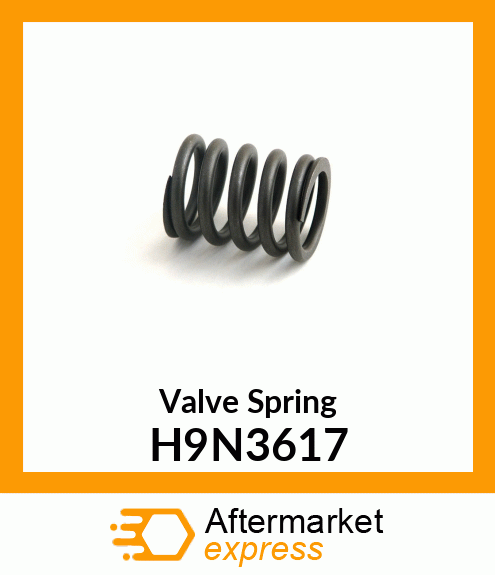 Valve Spring H9N3617