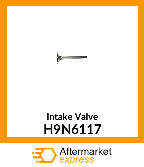 Intake Valve H9N6117