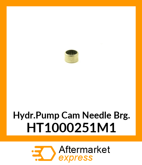 Hydr.Pump Cam Needle Brg. HT1000251M1