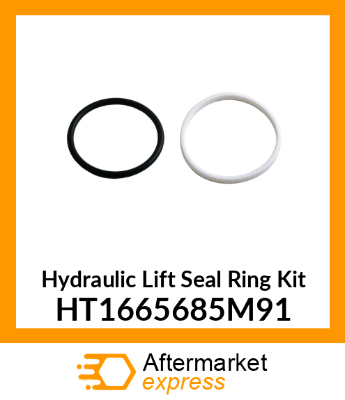 Hydraulic Lift Seal Ring Kit HT1665685M91