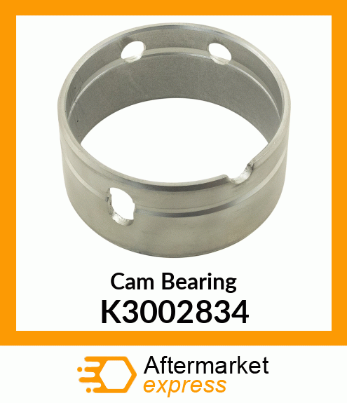 Cam Bearing K3002834